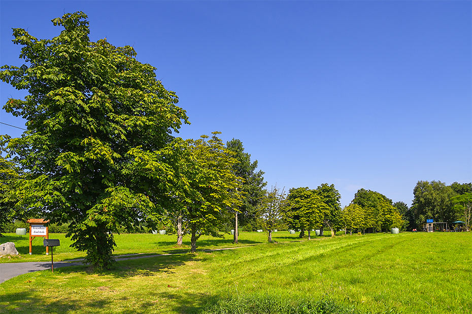 Foto aus der Fotogruppe 